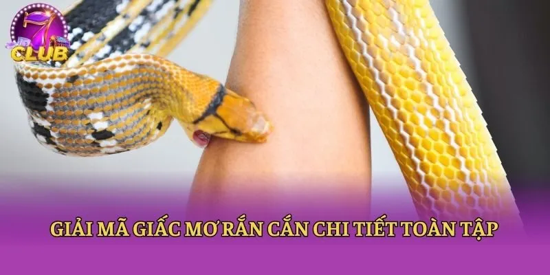 Giải mã giấc mơ rắn cắn chi tiết toàn tập